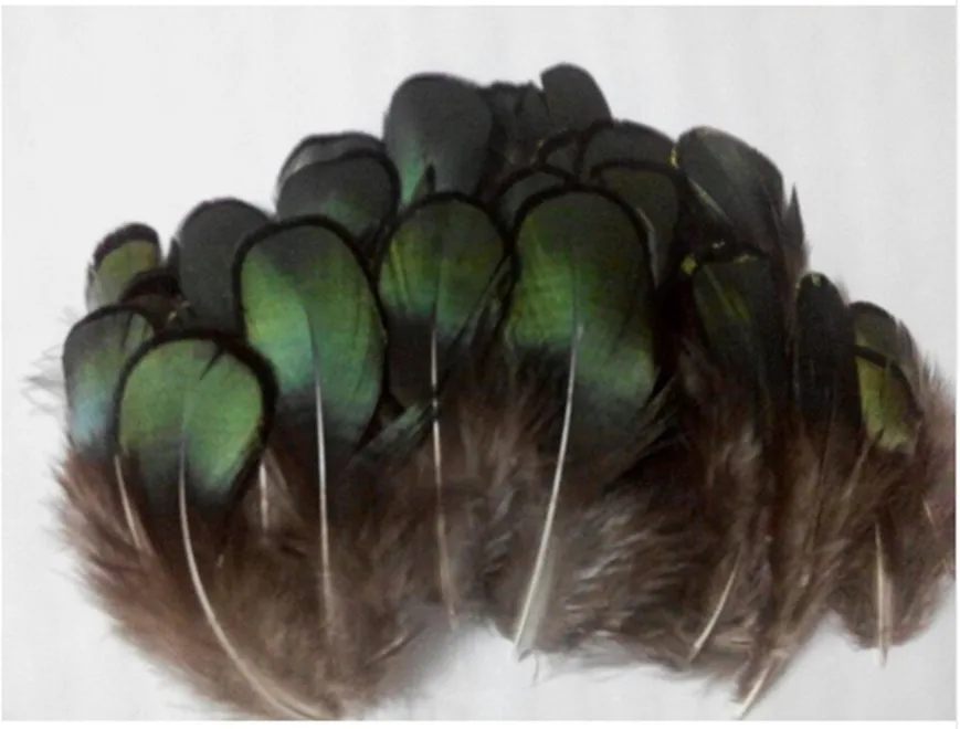 

New! Free shipping sell 20 pc natural quality pheasant feathers, 2.4-3.2" /6-8cm long, diy jewelry decorative accessories