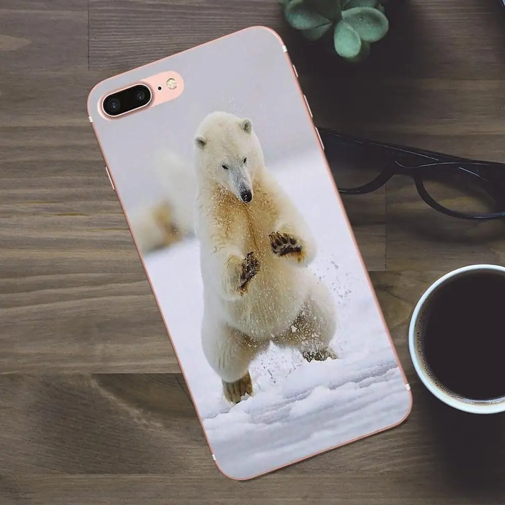 Милый чехол для телефона черный белый медведь Huawei G8 Honor 5C 5X 6 6X 7 8 9 Y5II Mate P7 P8 P9 P10 P20 Lite