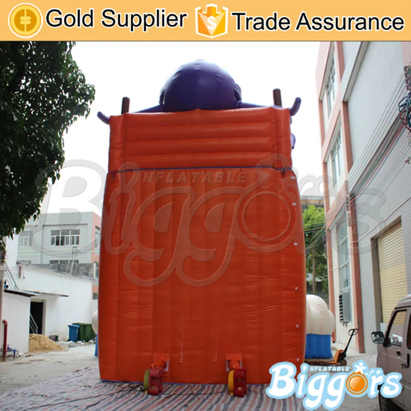 

Inflatable Biggors professional Supplier Inflatable Water Slide For Pool From China