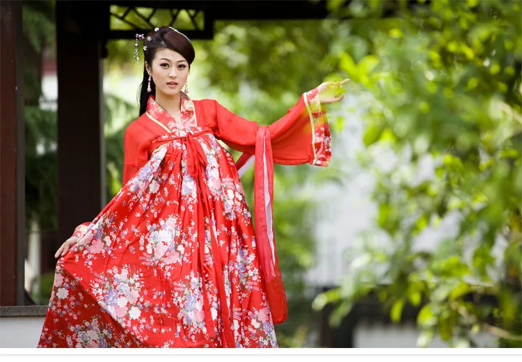 New Chinese Ancient Clothing Hanfu Skirt Hanfu Women's Skirt Costume Hanfu Double-breasted Dress