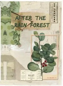 the rain forest ENO поздравительные Ретро фоновые бумаги для Sceapbooking винтажные коллажи бумаги Декупаж бумага для рукоделия - Цвет: the rain forest