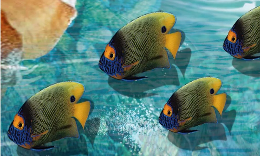 Заказ росписи 3d полы изображение ПВХ самоклеющиеся обои дельфинами рыбками и