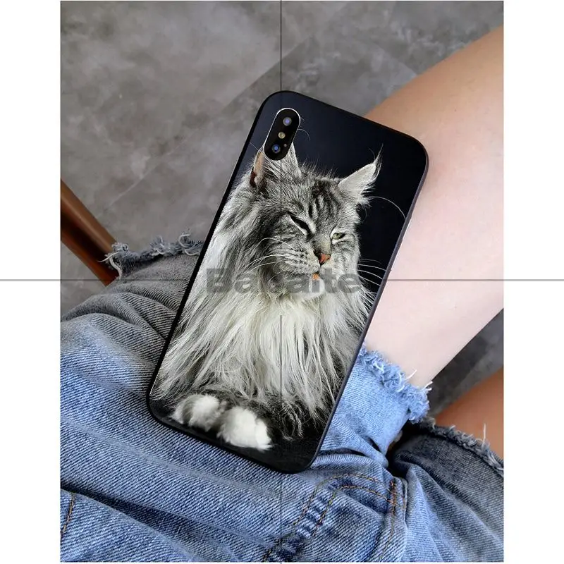 A3 Babaite pet мейн-кун кошка черный мягкий силиконовый чехол для телефона чехол для Apple iPhone 8 7 6 6S Plus X XS MAX 5 5S SE XR Чехол для мобильного телефона s - Цвет: A3