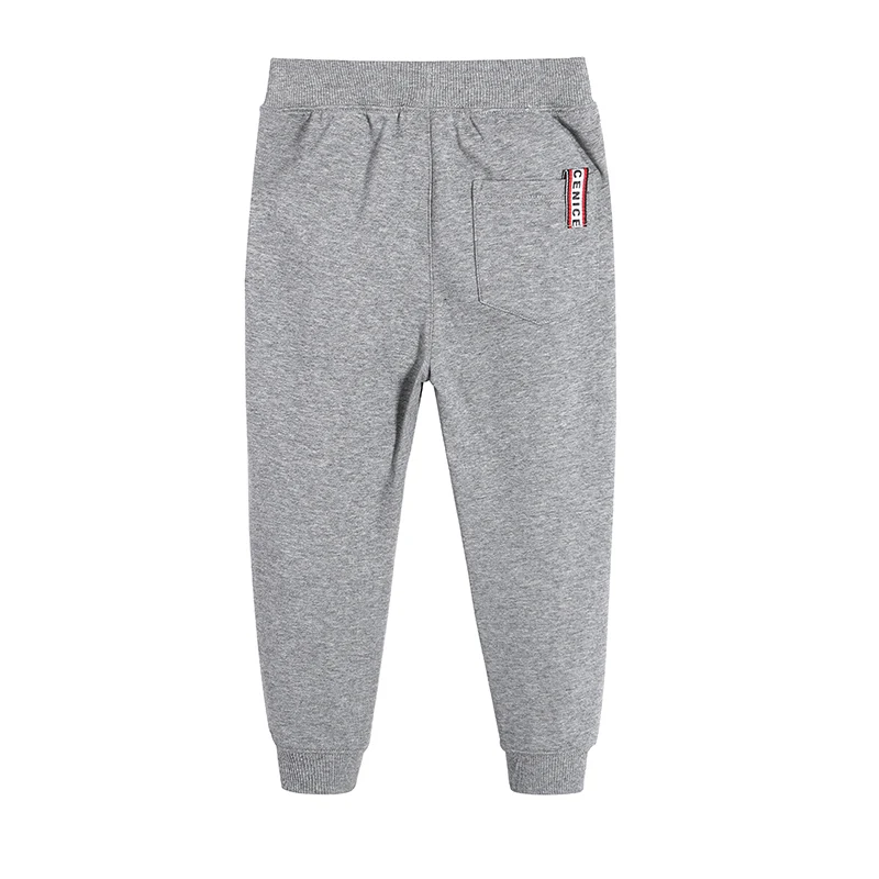Pioneer Kids/спортивные штаны для мальчиков; плотные повседневные спортивные трикотажные брюки; свободные брюки с флисовой подкладкой
