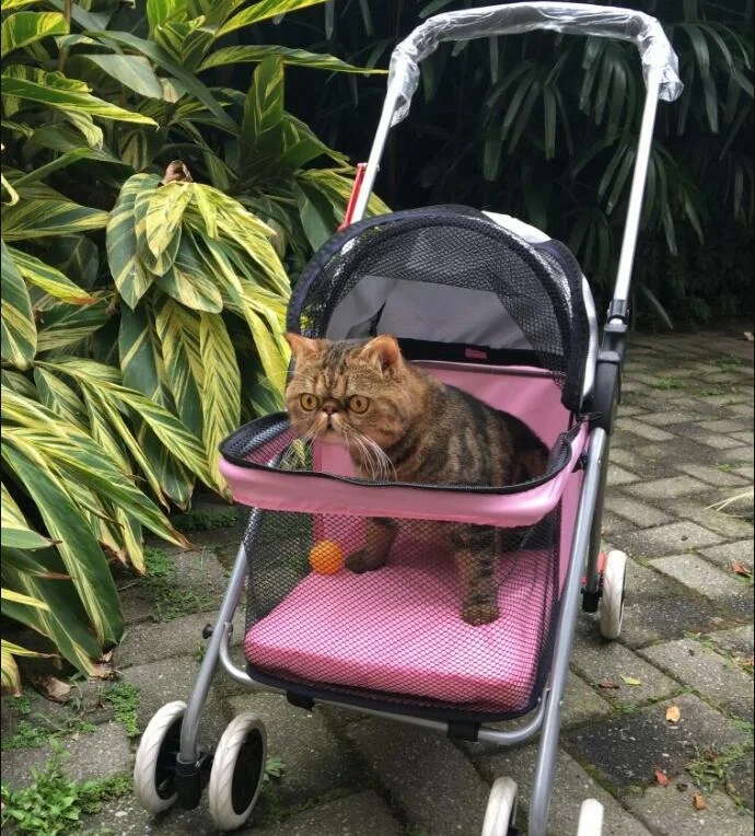 Dog Trailer Vegetable Dog Car Two-wheeled Car Small Dog Walking Pet Car Cat and Dog Out of The Wagon Folding Cart