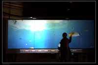 xintai touch 21 5 front and rear projection holographic screen film window display rear transparent hologram projector screen
