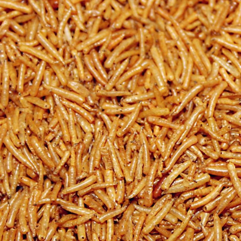 1 пакета(ов) (100 г) сухой личинка мягкие приманки жесткий Рыболовные птица корма