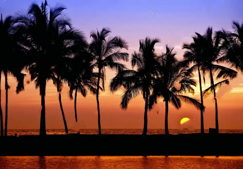 Гавайский закат остров Пальма дерево море фон для фотостудии Высокое качество