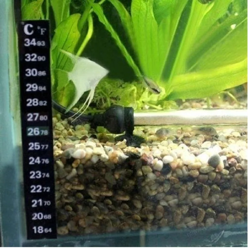 50 шт. термометр для жидкости и аквариума | Дом сад