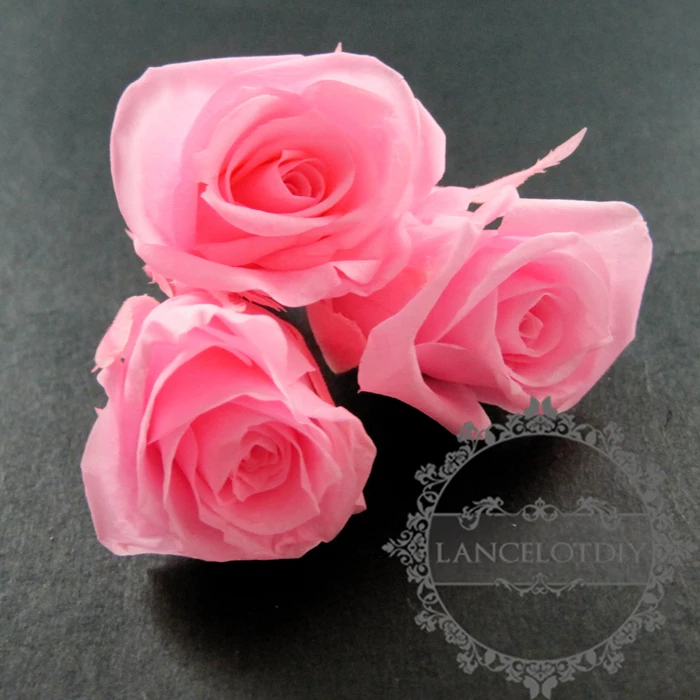 2-3 см розовый настоящий окрашенный сохраненный цветок розы сухой для DIY