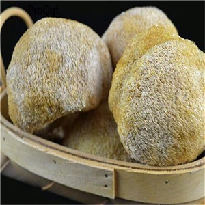 Hericium erinaceus 50 грамм триголома тремелла термиторни спарассис Saarcodon Pholiota Panellus Morchella Lentinus Hericium Dictyophora - Цвет: Hericium erinaceus