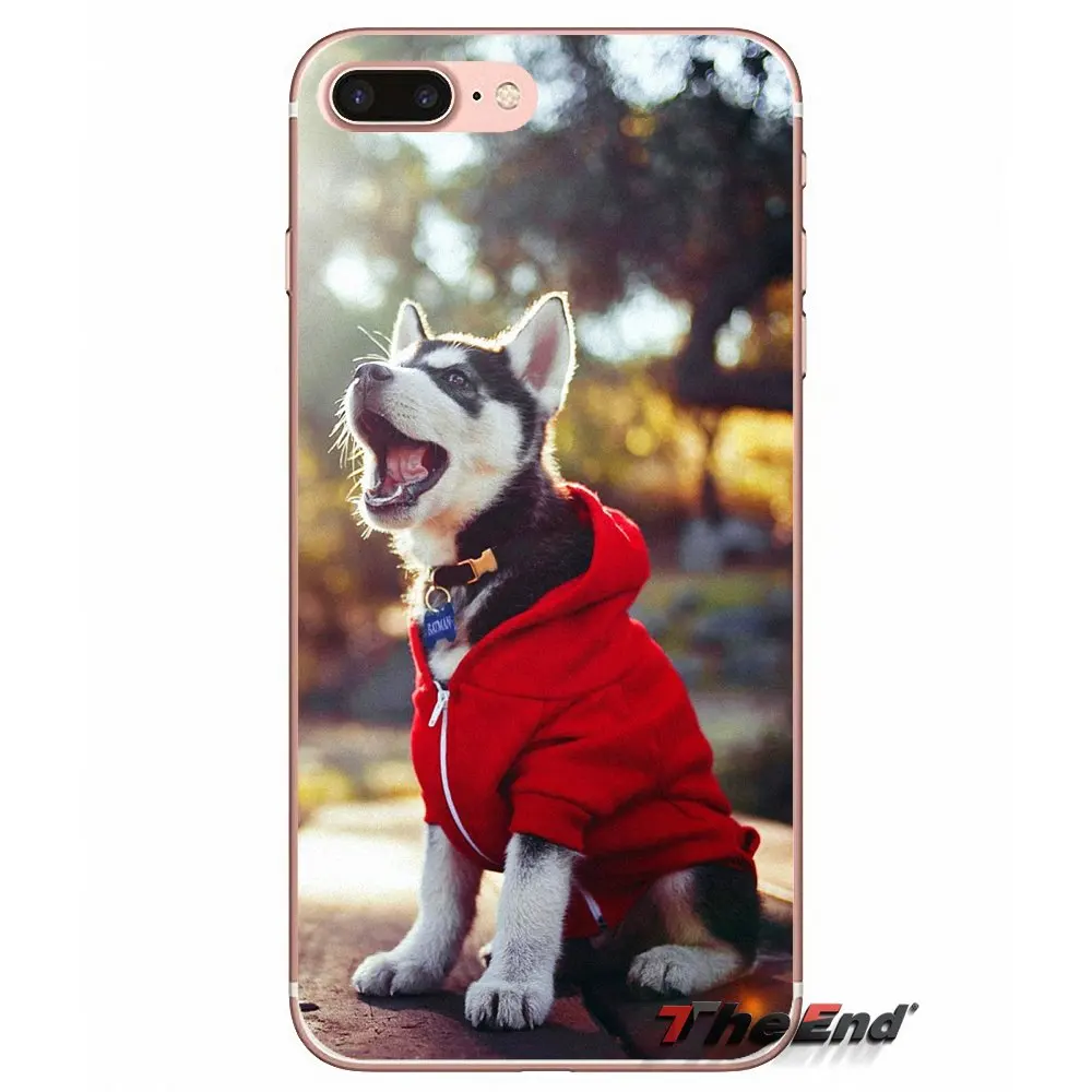 Для iPhone X 4 4S 5 5S 5C SE 6 6S 7 8 Plus Samsung Galaxy J1 J3 J5 J7 A3 A5 2016 2017 Husky аксессуары для собак чехлы