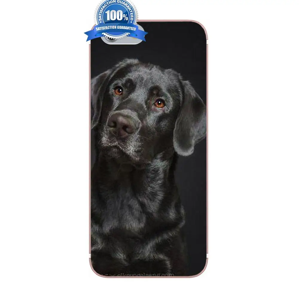 Soft Custom Design Cute Pet Dog Labrador Retriever For Xiaomi Redmi 5 4A 3 3S Pro Mi4 Mi4i Mi5 Mi5S Mi Max Mix 2 Note 4 Plus | Мобильные
