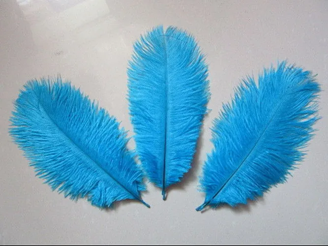 10 шт. белые страусиные перья 6 8 дюймов/15 20 см|feathers for decoration|white ostrich feathersdecorative feathers |