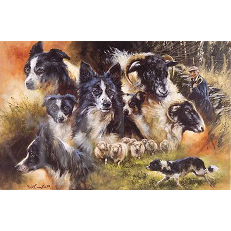 

Алмазная картина Border collie, алмазная вышивка, собака, полная картина стразы, мозаика алмазная, вышивка крестиком, домашний декор GH571