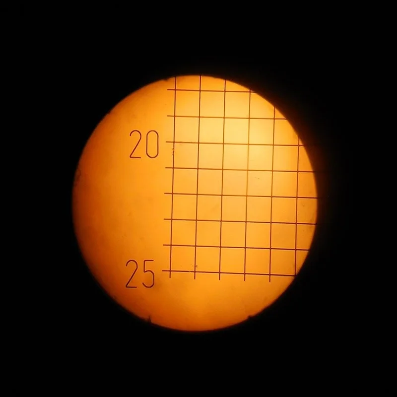 LeeTun DIV 0 2 мм окуляр микрометр для микроскопа глазной калибровки Graticule 25x25 GrideStage