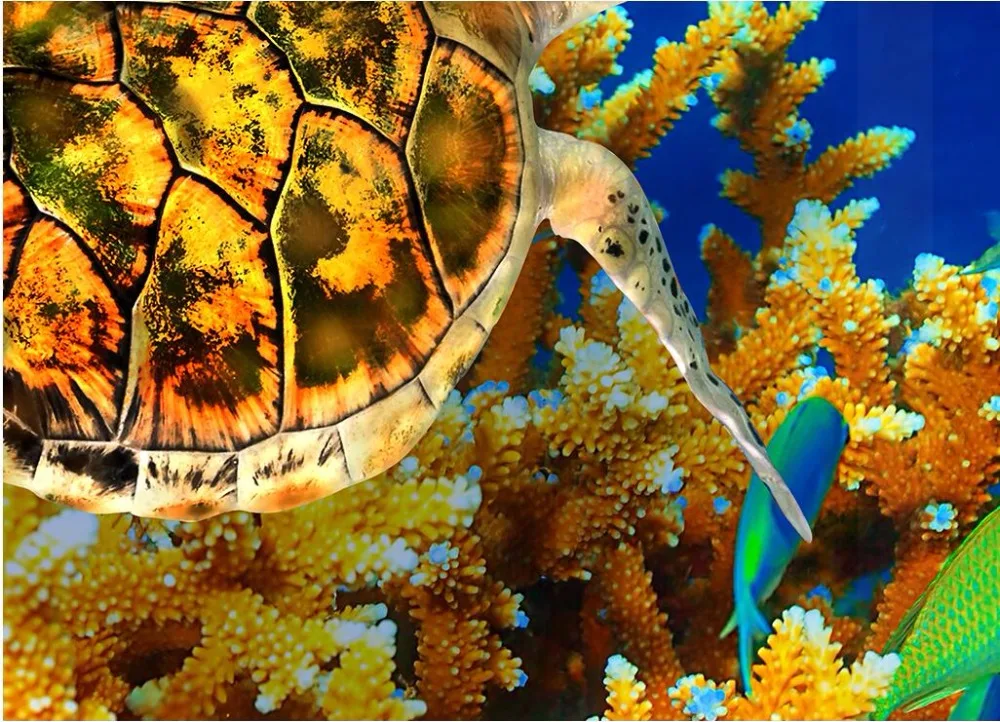 

Custom photo 3d ceiling murals wallpaper Non-woven sea world coral sea turtles decoration painting room wallpaper for walls 3 d