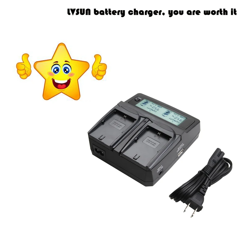 Udoli BP 110 BP110 батарея для камеры двойное зарядное устройство с автомобильным