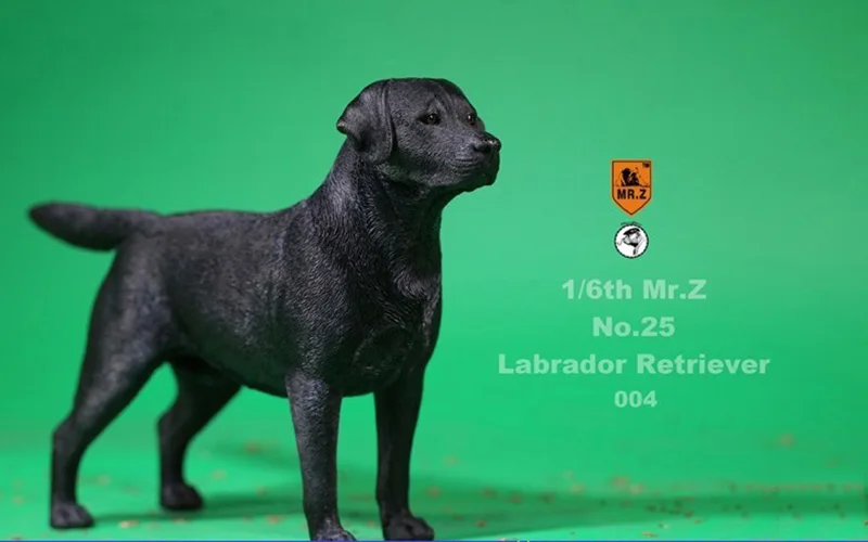 MRZ025 1/6 Масштаб модели животных сцена acc 4 вида цветов Mr. z № 25 ретривера Лабрадора собачьи игрушки модели 001/002/003/004 для коллекции