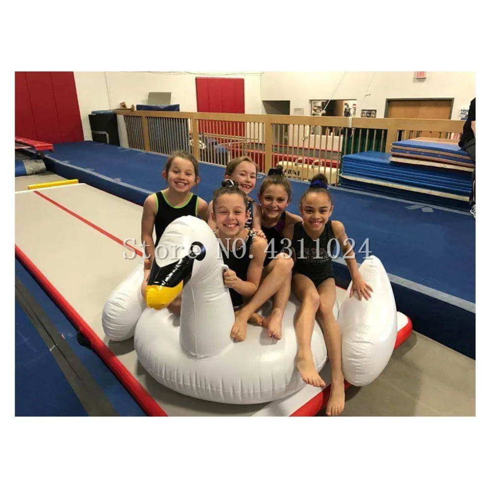 Цена Бесплатная доставка; Набор из 10x1x0,2 M воздушная дорожка коврик гимнастический коврик надувные кувыркаясь коврик в стиральной машине следить...