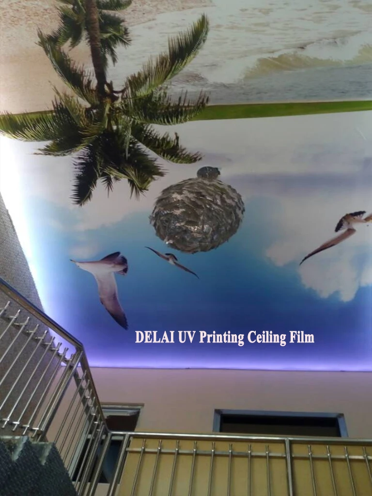 Новое поступление стрейчевая потолочная пленка с УФ печатью кокосовых деревьев