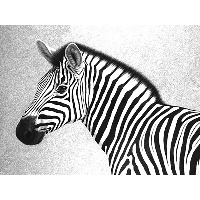 

White Black Zebra 5D Diamond Painting Animal Full Square Drill Diamond Embroidery Mosaic Children Room Decor