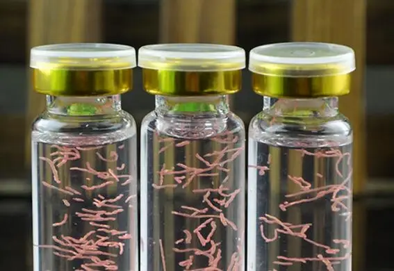 Эссенция астаксантин для кожи вокруг глаз 10 мл | Красота и здоровье