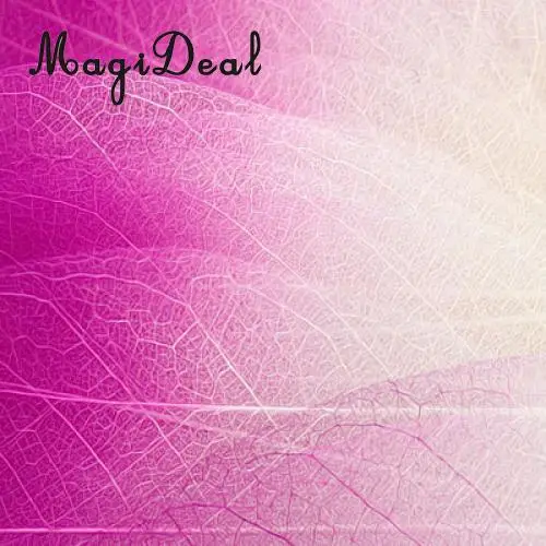 Натуральные листья скелета магнолии 100 шт. украшение для поделок сделай сам