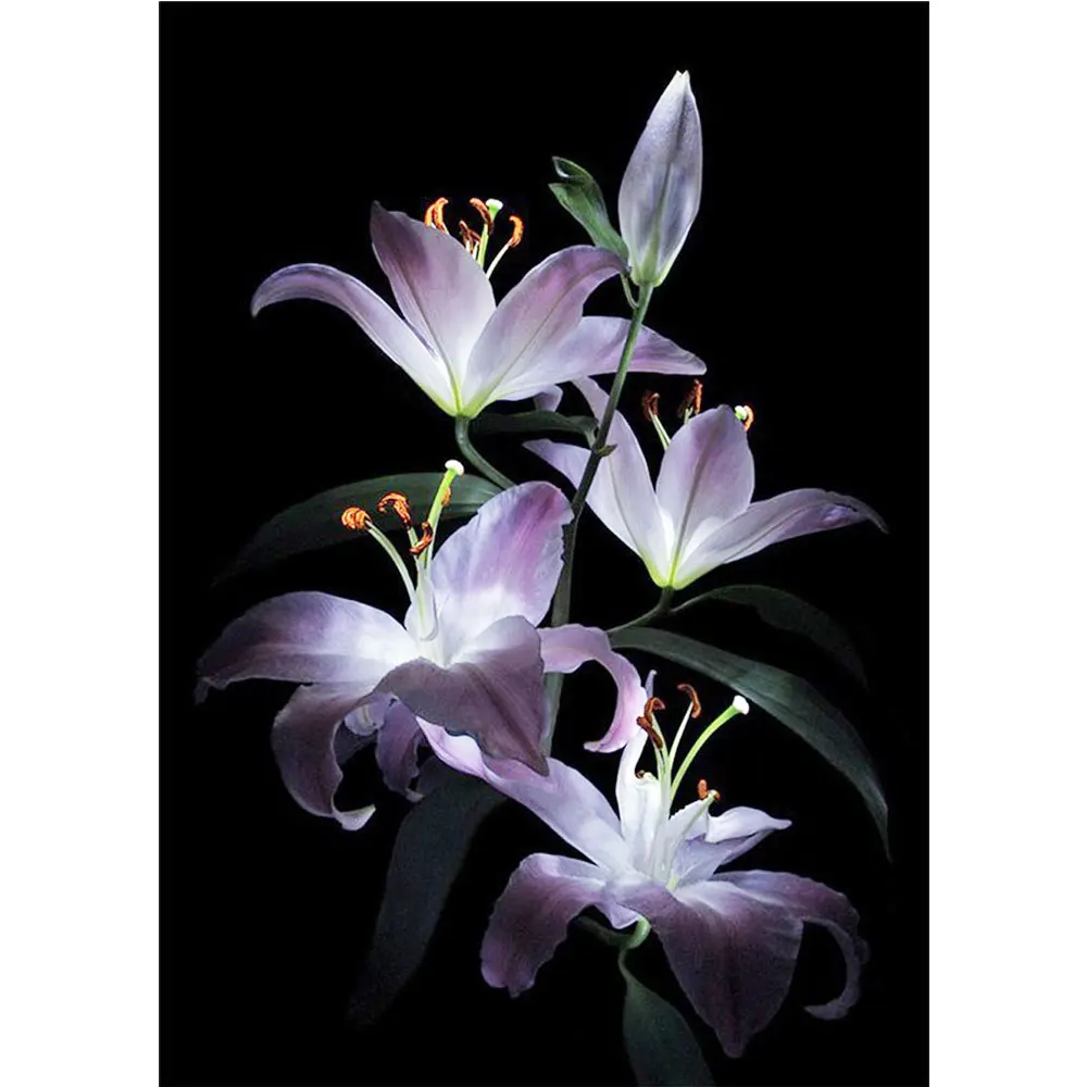 Diy алмаз живопись вышивка крестом наборы для вышивания цветы лилии Набор алмазов