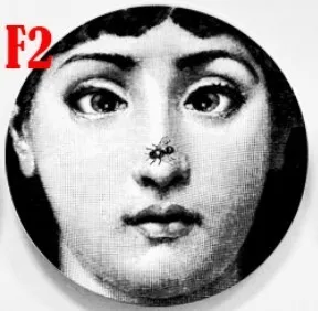2 Fornasetti Ремесла керамические тарелки украшения дома Fornasetti тарелка фарфоровые настенные тарелки 8 дюймов - Цвет: 2