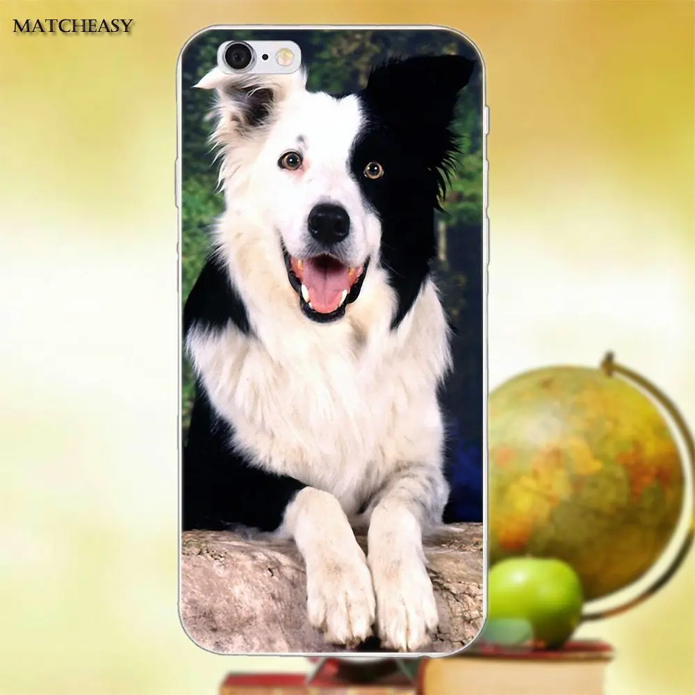 Красивый Border Collie Puppy Dog для Apple iPhone X XS Max XR 4 4S 5 5C SE 6 6S 7 8 Plus мягкий модный мобильный