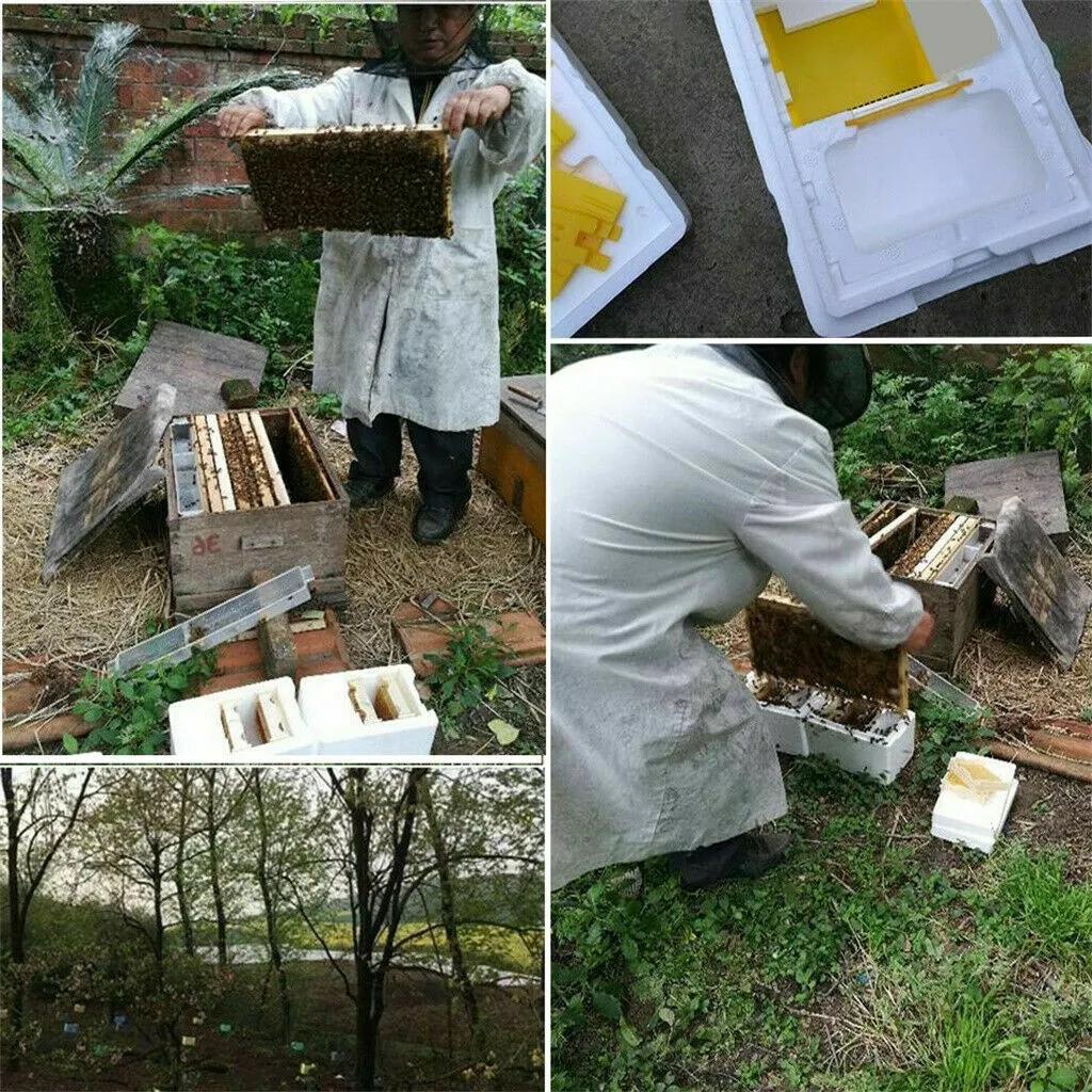 Ящик для сбора улей опыления пчеловодства провинция работающая - Цена: 872,38 - 1 009,10 руб.