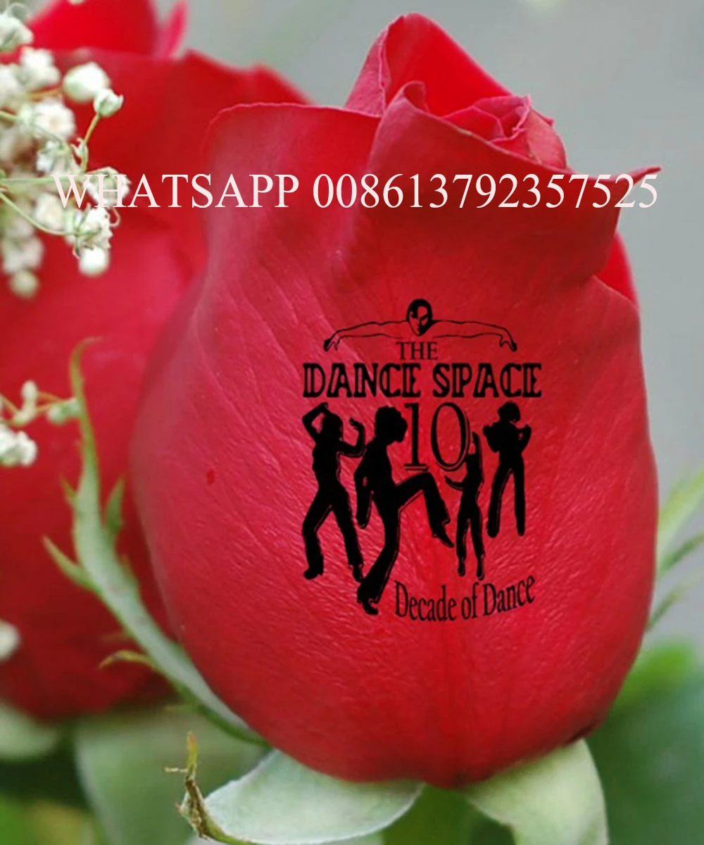 Только модель 3 Цветочная печатная машина цифровой принтер для ногтей и цветов