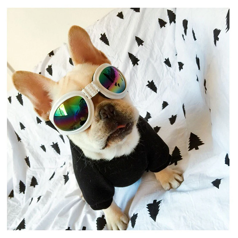 Модные изысканные солнцезащитные очки для питомцев и ветрозащитные зеркальные