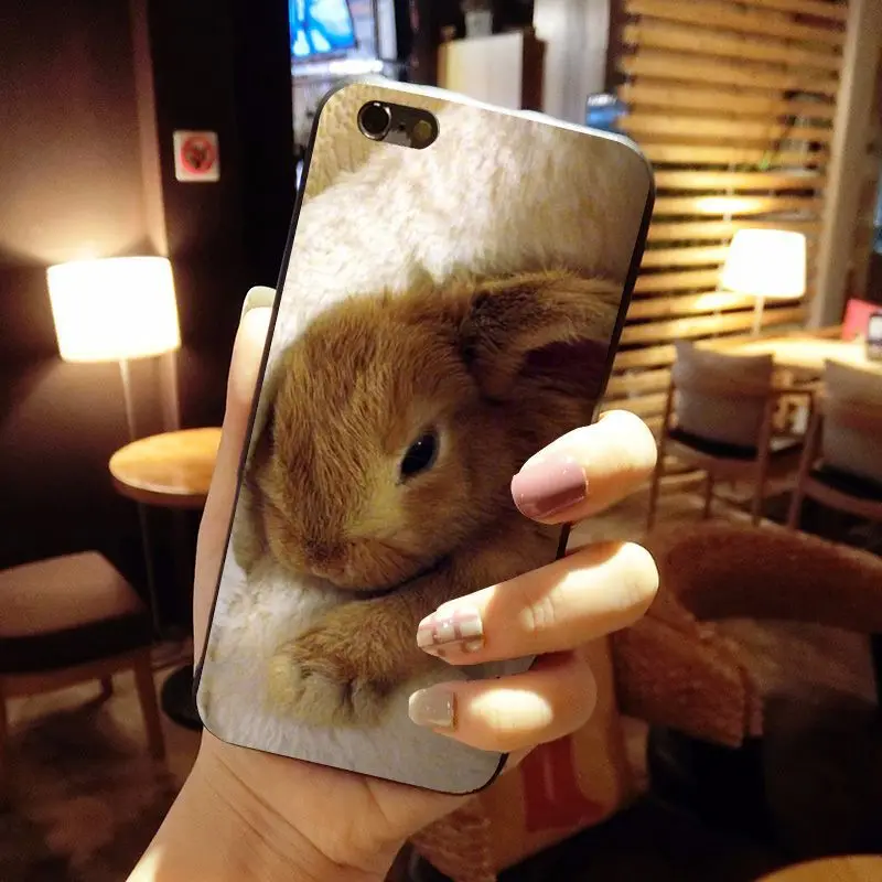 MaiYaCa животное большие уши кролики чехол для iPhone X 8 7 6 6S Plus 5 5S SE 4S | Мобильные