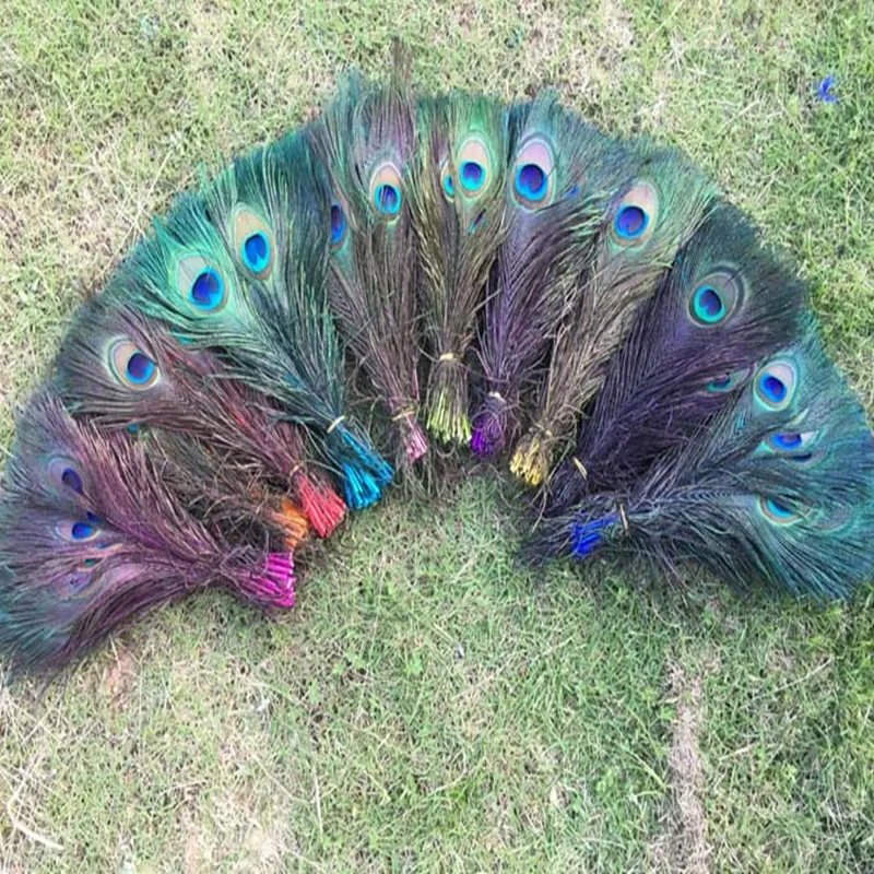 5pcs Staining Peacock Tail Feathers about 10-12 Inches&quot | Дом и сад