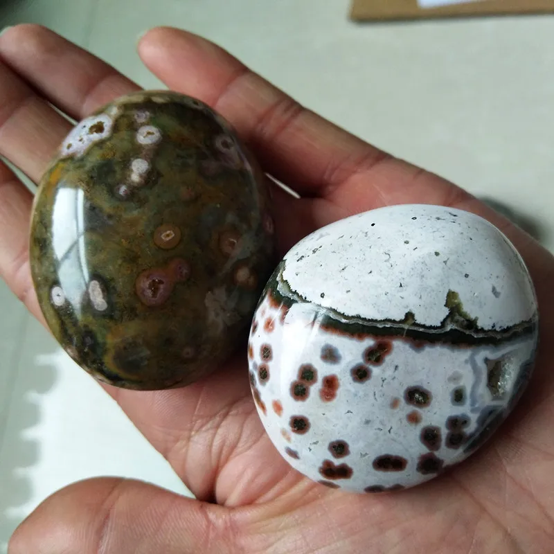 Камни и кристаллы натуральный морской яшма пальмовый камень украшения
