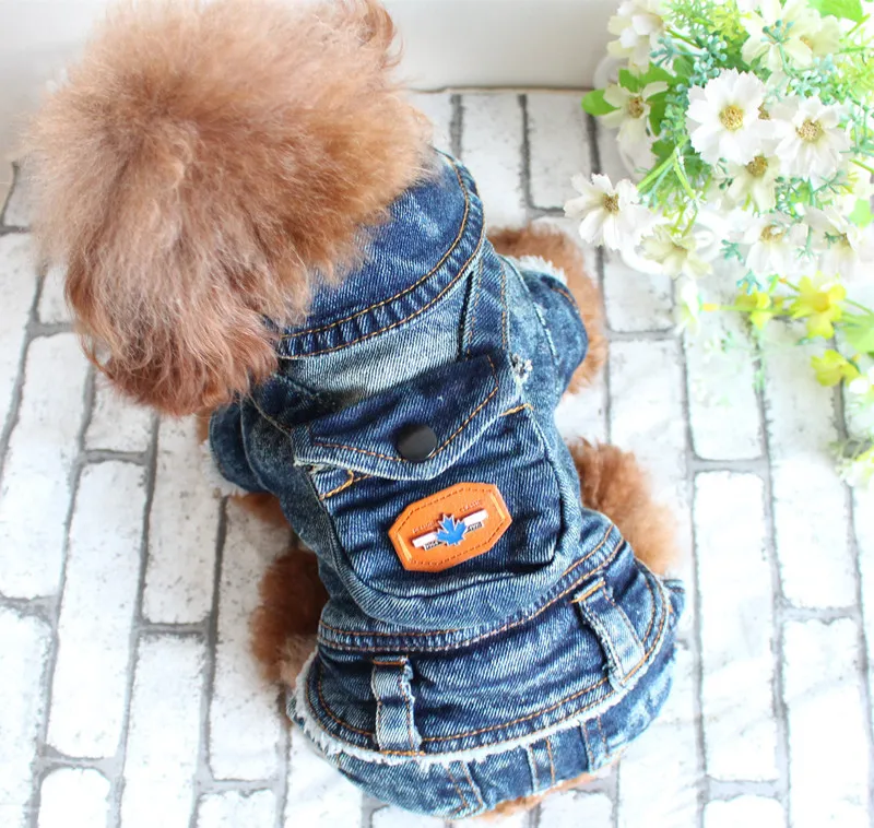 Зимний теплый джинсовый пиджак для маленьких собак кошек щенков худи комбинезон