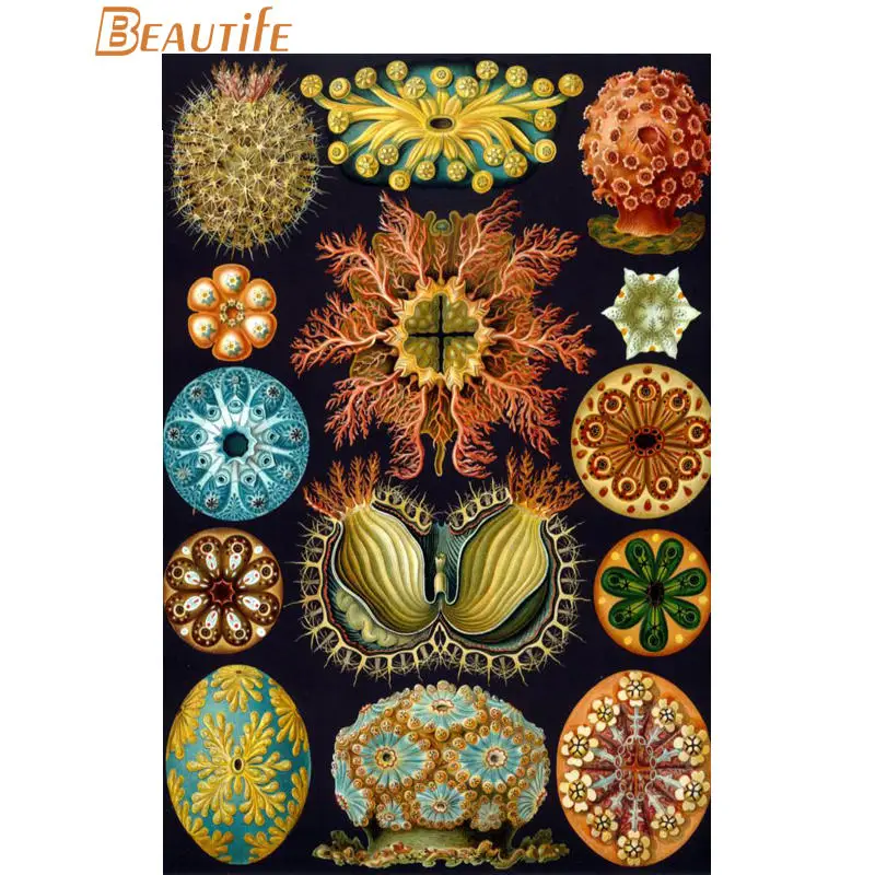 Пользовательские ernst haeckel морской жизни шелковая ткань постер для декорации дома стены искусства новая шелковая ткань стены плакат печать - Цвет: poster