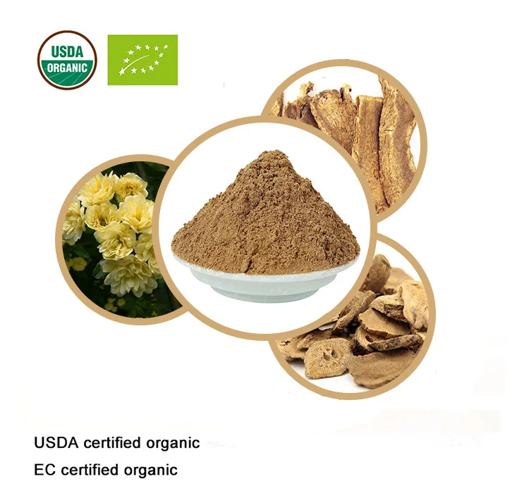 USDA и EC Сертифицированные Органические Saussurea costus порошок корня