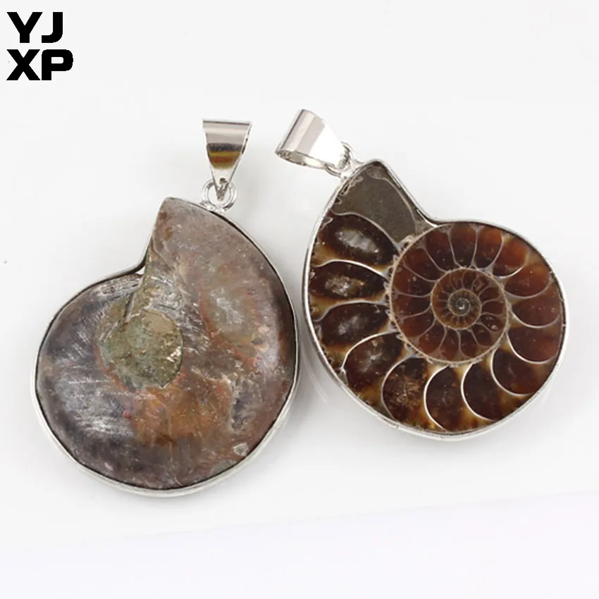 YJXP Silver Plated Unique Natural Stone Ammonite Seashell Snail Pendants Ocean Reliquiae Conch Animal Jewelry | Украшения и