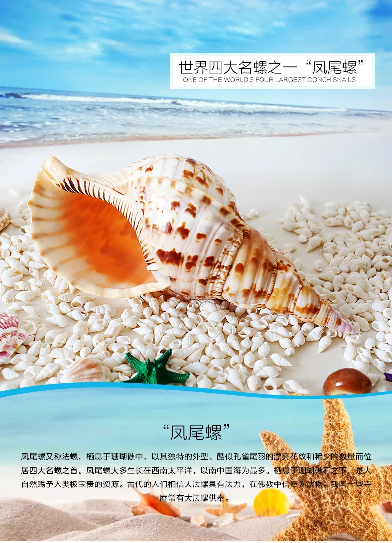 23 25 см натуральный раковины Большой украшения дома труба Тритон Аквариум