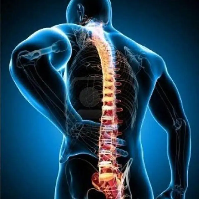 8 шт./пакет Ревматоидный Артрит Штукатурка поясничного шеи плеч боли