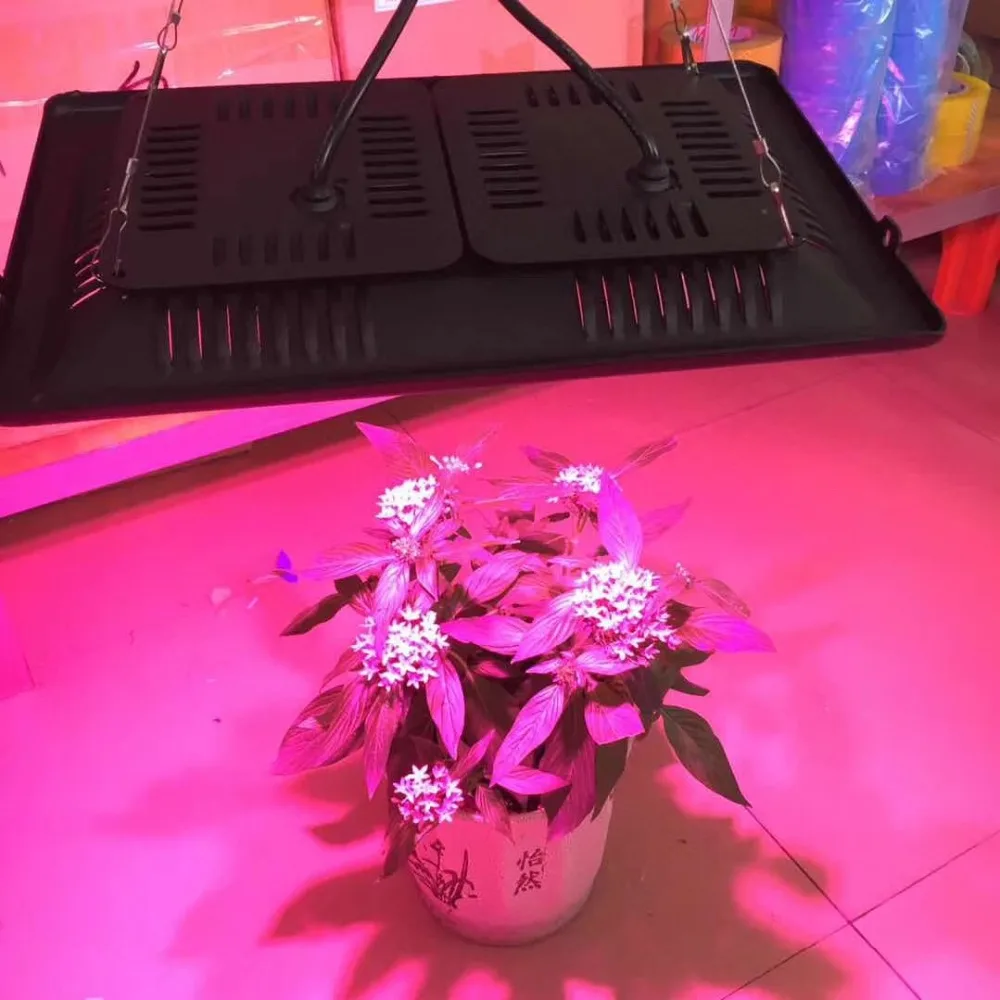 LED Grow Lights Full Spectrum Phyto Lamp 220V 110V 100W 200W 300W IP65 Waterproof Plant Lamp for Indoor Greenhouse Hydroponic