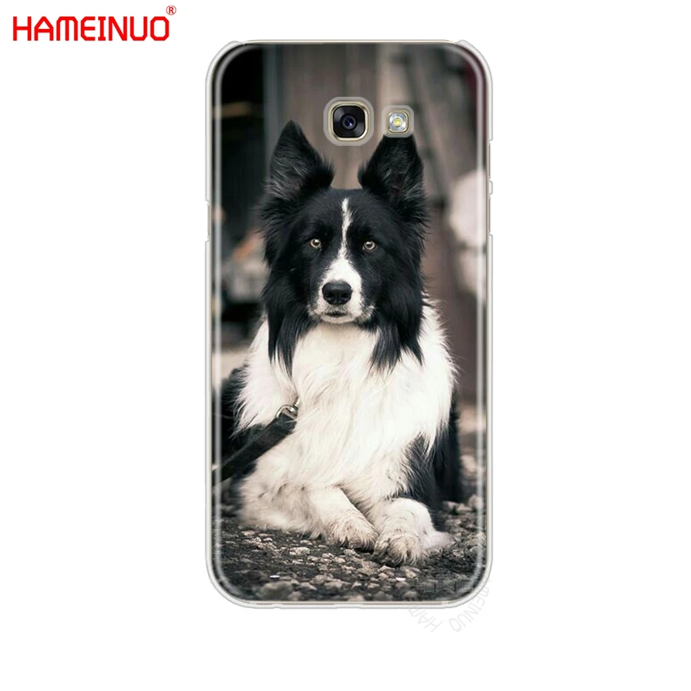 HAMEINUO border collie dog чехол для сотового телефона Samsung Galaxy A3 A310 A5 A510 A7 A8 A9 2016 2017|Бамперы| |