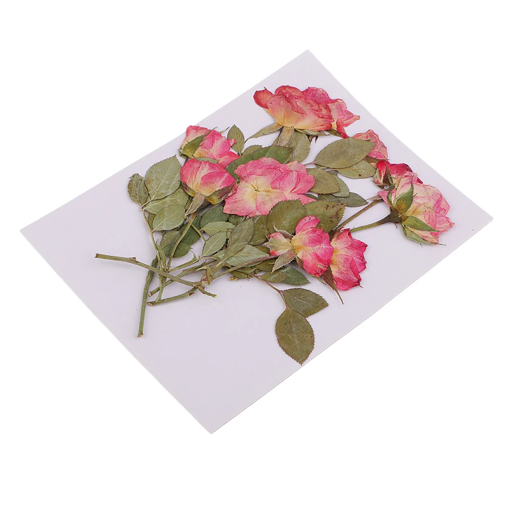 10x прессованный высушенный цветок розы DIY чехол для телефона Закладка Смола