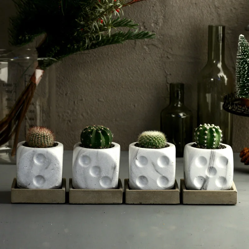 Кости конкрет сад Плантатор формы цемент цветочный горшок плесень суккулентные