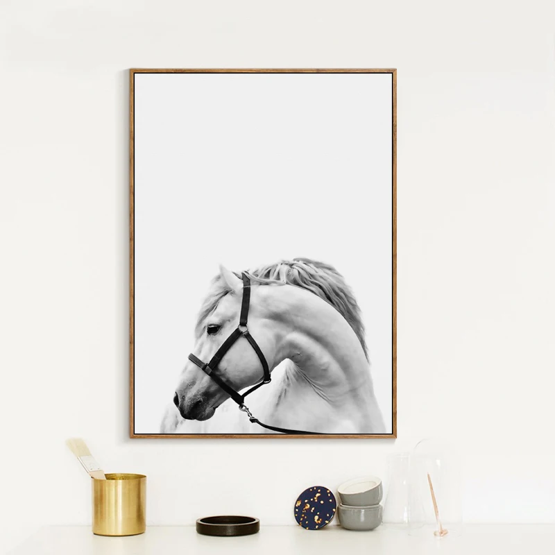 Холст Плакаты и принты лошадь фотография фото декор стен холст стены Книги по