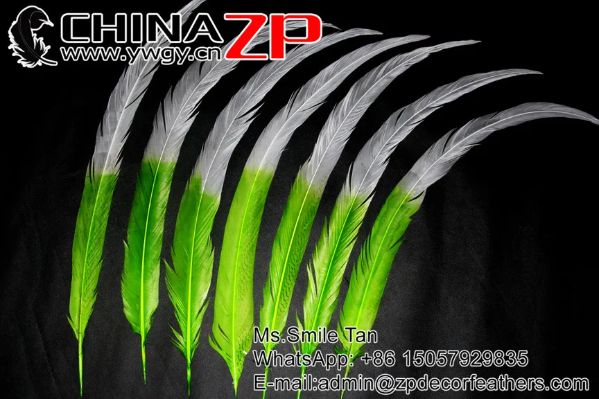 CHINAZP Супер Длинное перо фазана оптом 65~ 70 см(от 26 до 28 дюймов) 50 шт/партия половинный зеленый с белым серебром перо фазана s