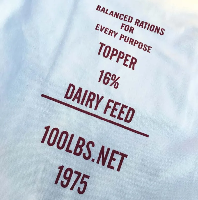 Рисунок 3 - Сумка-тоут с логотипом на заказ